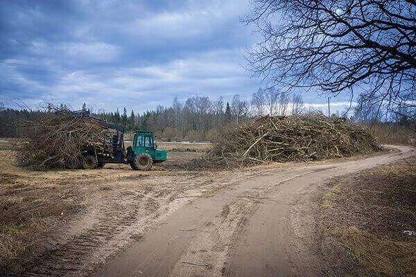 Branch outward from the forest, the bulking stack